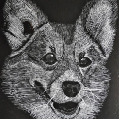 https://childrensartclasses.com/wp-content/uploads/scratchboard-art.jpeg